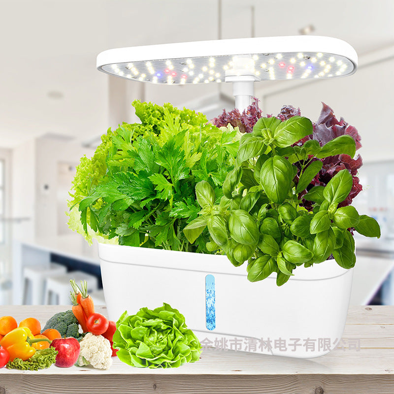 Vegetable Hydroponic Planter