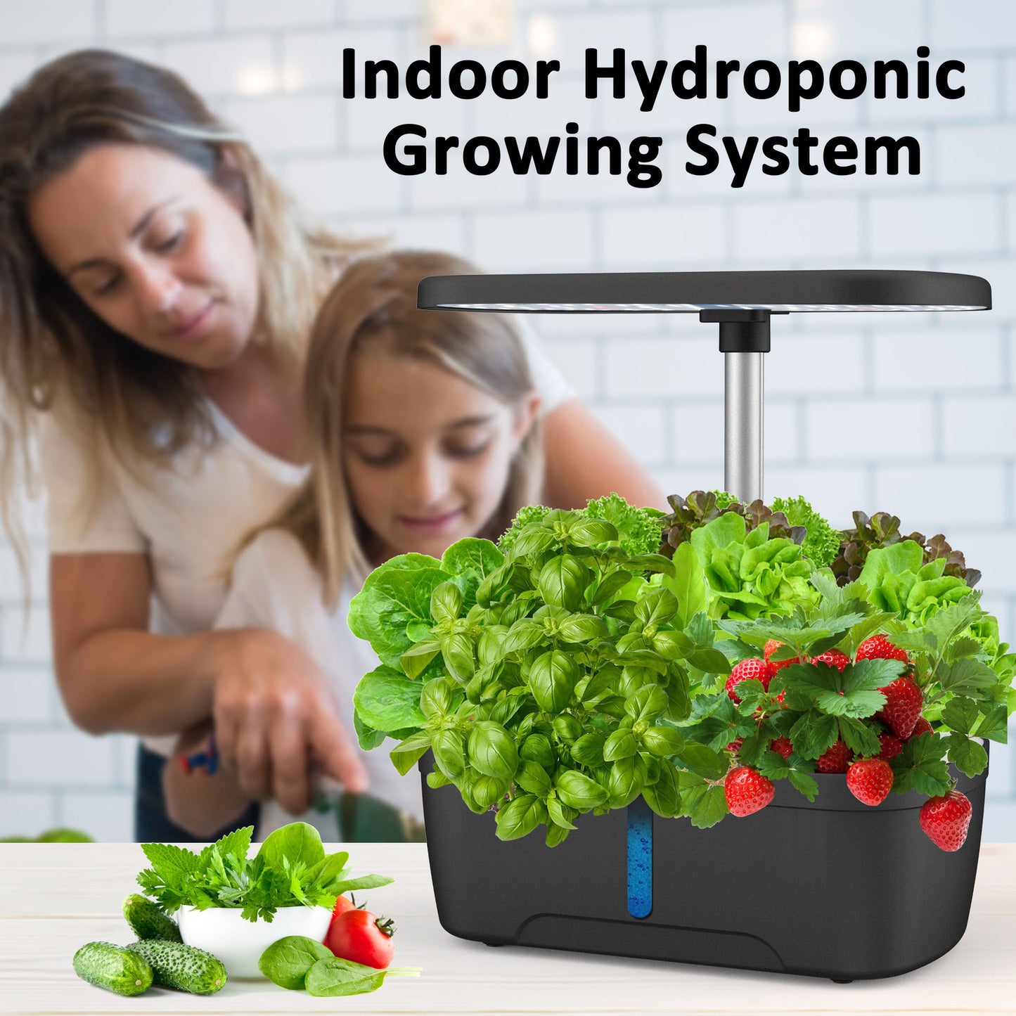 Vegetable Hydroponic Planter