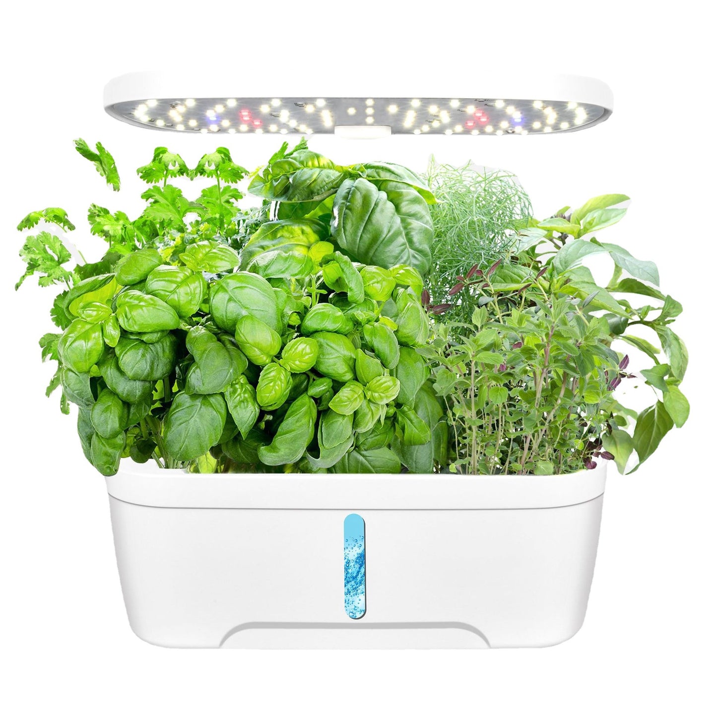 Vegetable Hydroponic Planter