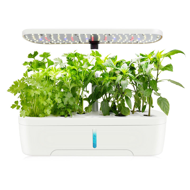 Vegetable Hydroponic Planter