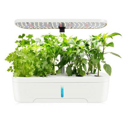 Vegetable Hydroponic Planter