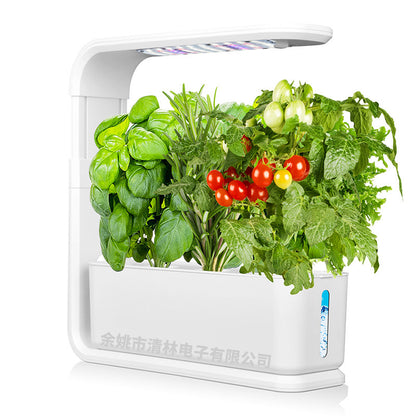 Vegetable Hydroponic Planter