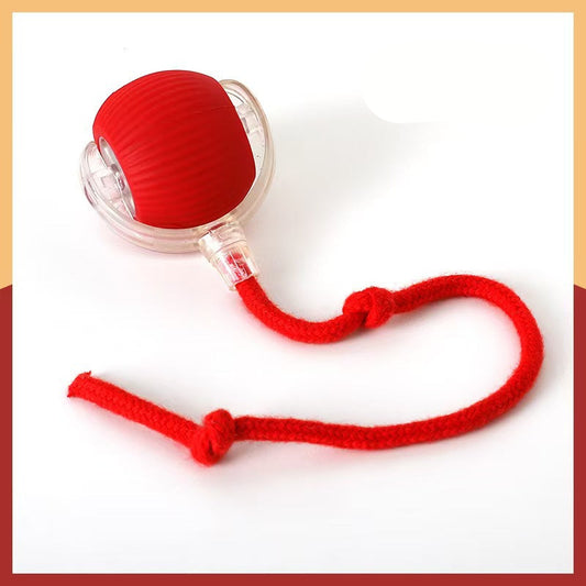 Cat Ball Toy with Rope