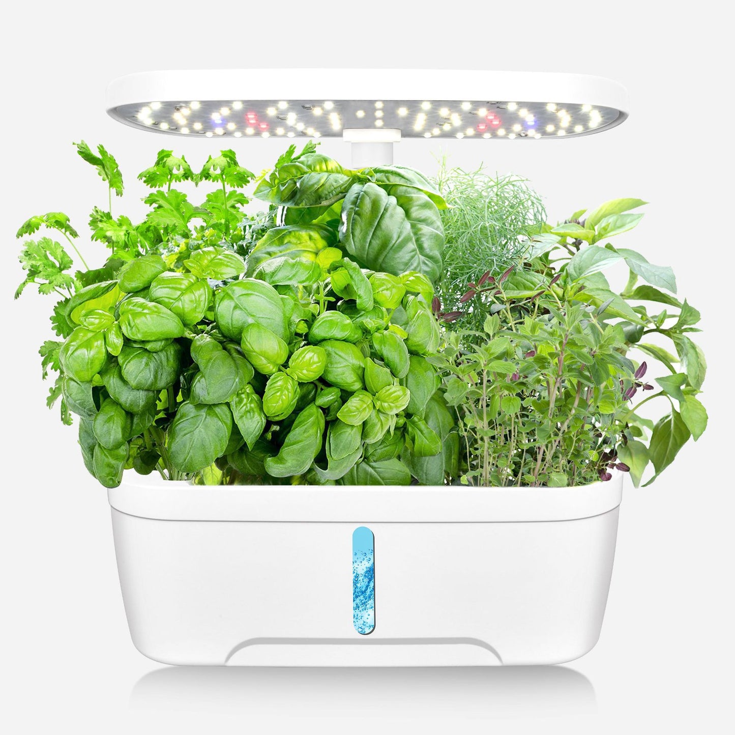 Vegetable Hydroponic Planter