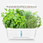 Vegetable Hydroponic Planter